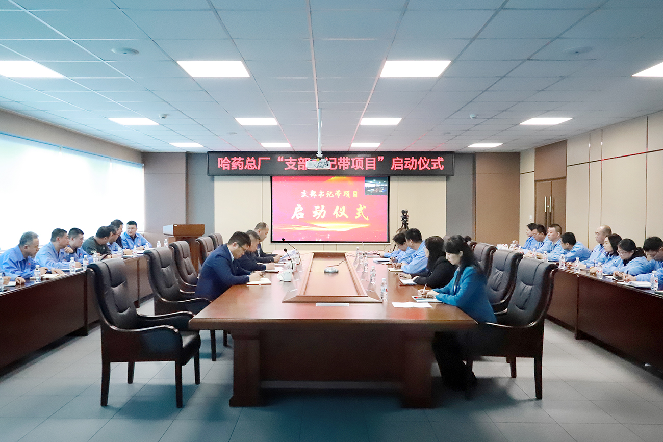 党建领航“加速度” 打造发展“强引擎”——k8凯发总厂党委召开“支部书记带项目”启动仪式